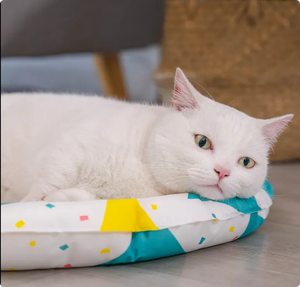 Fabrieksvoorraad Zomer <span class=keywords><strong>Cool</strong></span> Plastic Milieuvriendelijk Ijs Nestmat Met Bloemenpatroon Slaapbenodigdheden Voor Honden - Product Image 4