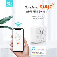 Interrupteur intelligent Wi-Fi miniature Tuya 16A compatible avec Alexa/Google Assistant PST-AP-SMT