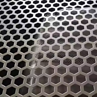 Vente chaude : Tôle perforée hexagonale, panneau perforé en acier inoxydable et aluminium à micro-trous pour filtration industrielle