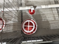 Cage à poulets de type H, système de collecte d'œufs automatique pour volailles, équipement d'élevage de poules pondeuses, cage de couvaison automatique