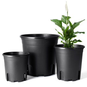 Durable Hard Plastic 1 Gallon Pot Black Flower Plant Pots Big Nursery Pots
