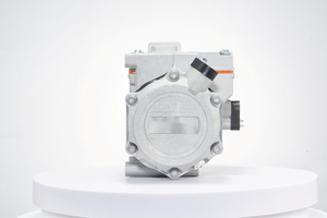 Compresor de Aire Acondicionado Brogen de 12V para Vehículos con Control PWM/De Engranajes, Certificado CE - Product Image 5