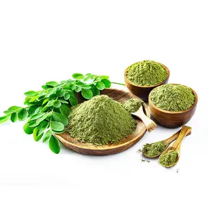 Organic Raw Material Herbal Extract Moringa Oleifera Leaf Extract Powder In Bulk