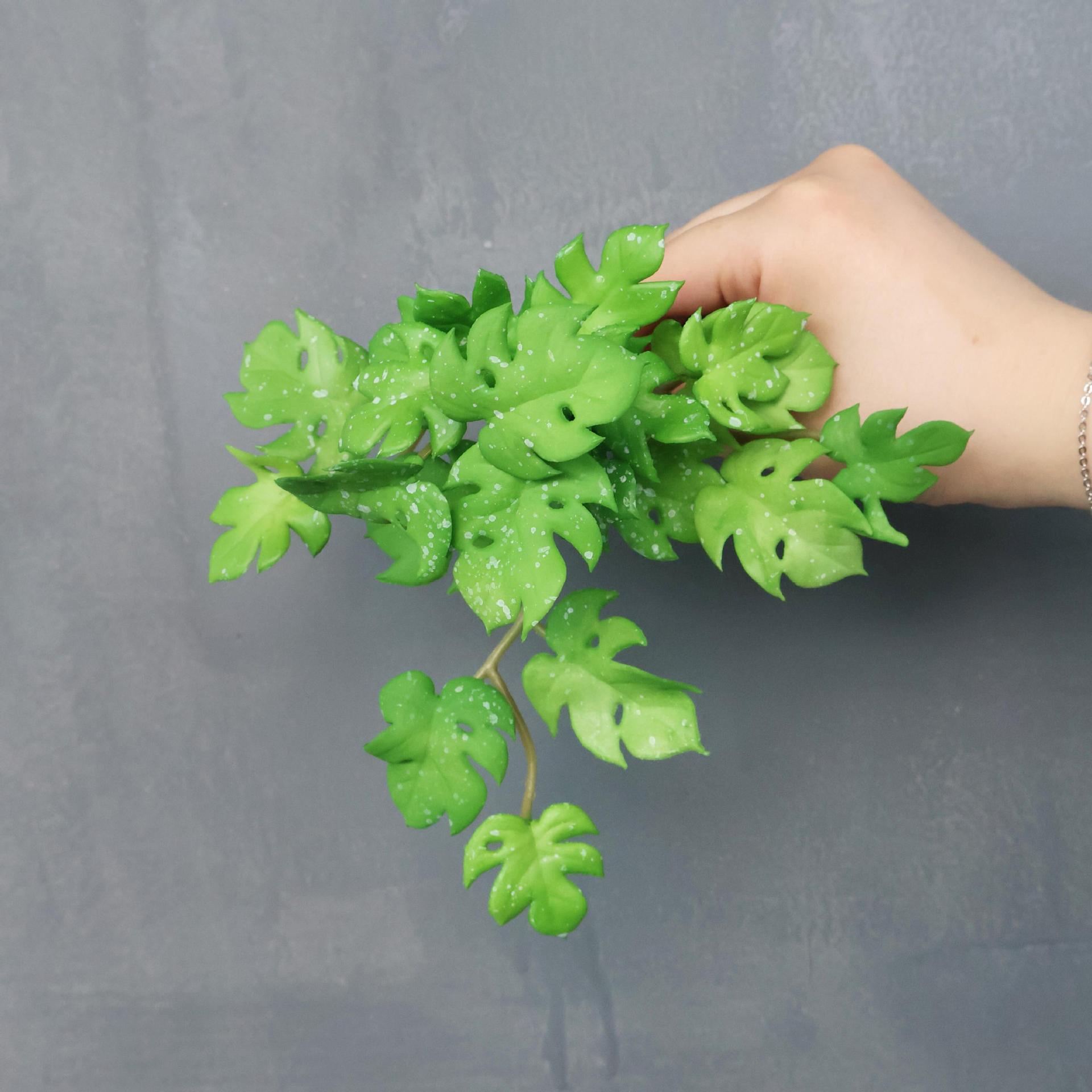 Petit bouquet de feuilles de tortue, vert à pois blancs.