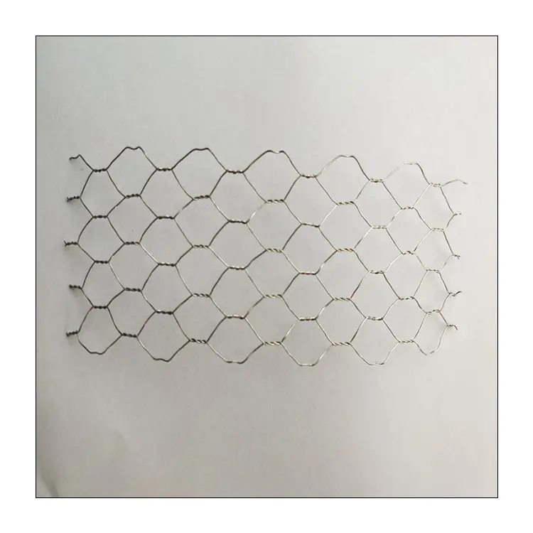 Filet Hexagonal galvanisé de haute qualité à bas prix pour plâtre ou Cage à animaux