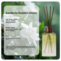 Diffuseur d'huiles essentielles sans flamme classique en verre de haute qualité, bouteille carrée d'aromathérapie de 500 ml, diffuseur à bâtonnets, longue durée, pour usage domestique ZH5003