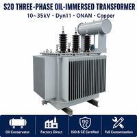 Transformator Tiga Fasa Berpendingin Minyak Tembaga Wanbo-477 S20 630kVA 10kV 35kV Dyn11 ONAN Conservator