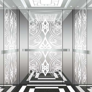 Ascensor Doméstico/Elevador Doméstico Pequeño para Personas Mayores/Elevador Doméstico Vertical para Interiores y Exteriores - Product Image 4