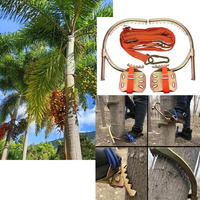 Púas para Escalar Postes Eléctricos con Arnés de Seguridad, Herramienta para Escalar Árboles y Postes de Madera