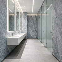 Revêtement mural en pierre flexible personnalisable, résistant au feu et à l'eau, en porcelaine souple pour la décoration des murs d'hôtels, de bureaux et d'appartements