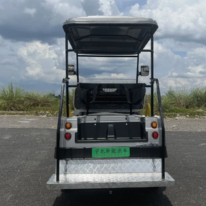 New 2 Seater Electric <b>Golf</b> Cart for Tourists with Lithium Battery 400W Motor 24km/h Speed up to 54 Holes Range - Product Image 5