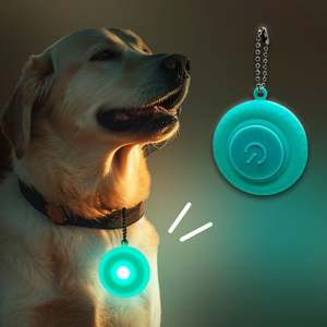 Night Pet Anti-Stray Pendant Pet Led Light Colgante de silicona - Product Image 1