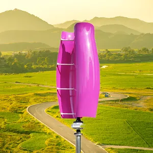 Tulip Type Vertical Axis Wind Turbine 24V/48V/96V For Home Wind Turbine 5 Years Warranty 1kw Vertical Generator For Roof