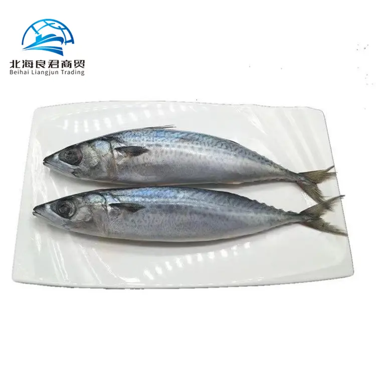 Harga grosir kualitas terbaik karakteristik alami ikan laut beku bulat makarel
