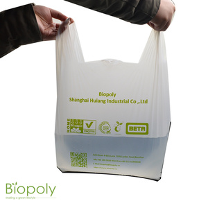Bolsa de Camiseta Personalizada con Logotipo Estampado en Caliente, Bolsa de Plástico Reciclable en Embalaje de Cartón - Product Image 6
