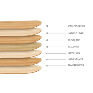 Bán buôn tùy chỉnh 7ply trống Canada Maple Surf Cruiser <span class=keywords><strong>Board</strong></span> trường cũ Skateboard boong - Product Image 2