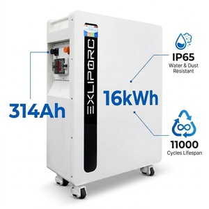 EXLIPORC 16kWh 51.2V 314Ah LiFePO4 Battery IP65 Waterproof 11000 Cycles Solar Home <b>Energy</b> <b>Storage</b> <b>System</b> - Product Image 1
