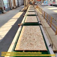 Línea de Producción de OSB Totalmente Automática con Sistema de Control PLC, 30000 M3 por Año