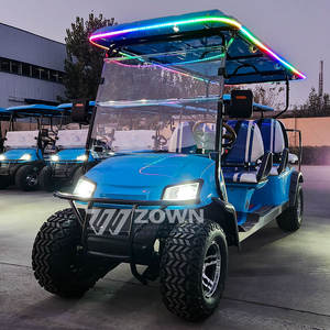 ผู้ค้าส่งการผลิต ผู้ผลิต ขายตรงรถกอล์ฟไฟฟ้า ราคารถแปลงสภาพไฟฟ้าในอินเดีย - Product Image 6