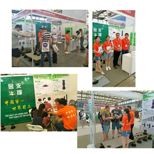 Tăng tầng bệ ráp dây có thể điều chỉnh gạch hỗ trợ bệ ban công bệ gạch ban công phụ kiện sàn - Product Image 5