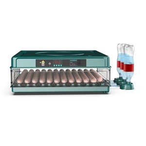 Nuova <span class=keywords><strong>Incubatrice</strong></span> Mini 2026 Verde da 130 Uova ad Alta Produttività con Doppia Alimentazione 220V <span class=keywords><strong>per</strong></span> Uova di Pollo, Anatroccolo e Tacchino, <span class=keywords><strong>per</strong></span> Fattoria e Casa - Product Image 3