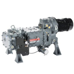 Pompe à vis sèche Edwards EDS200 A41820945 en acier inoxydable, moteur électrique, 210 Lpm - Product Image 1