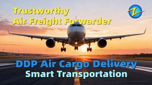 Logistica Aerea DDP, Agente di Spedizione da Shenzhen, Fuzhou, Ningbo, Trasporto Aereo LCL, DHL, UPS, FedEx Porta a Porta verso <span class=keywords><strong>Tunis</strong></span>, Durban, Mombasa - Product Image 2