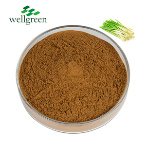 Nhà Máy Chiết Xuất Bán Hot Leek <span class=keywords><strong>Seed</strong></span> P. E/Hạt Giống Chive Trung Quốc P. E/Chiết Xuất Từ Hẹ Tỏi - Product Image 1