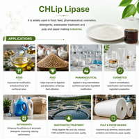 Enzyme lipase de qualité détergente pour la décomposition des taches de graisse, nettoyant liquide et formule de nettoyage industriel