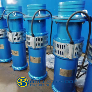 Pequeño jardín 220V 380V Bombas de agua sumergibles Bomba de fuente de estanque de 3 pulgadas a la venta - Product Image 6