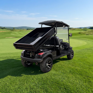 Nouvelle conception de voiturette de golf électrique noire à 2 places homologuée pour la route avec benne de chargement, véhicule <span class=keywords><strong>utilitaire</strong></span> électrique tout-terrain pour l'extérieur - Product Image 3