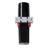 Unité hydraulique 300W 15Mpa AC220V/DC12V/24/48V, petite station hydraulique à double action
