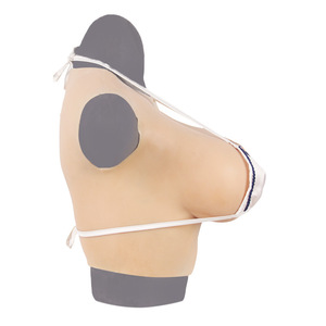 Prótesis de senos estilo chino Song de cuello redondo y longitud corta, con almohadilla de pecho engrosada de seda y algodón, accesorios para transmisiones en vivo - Product Image 2