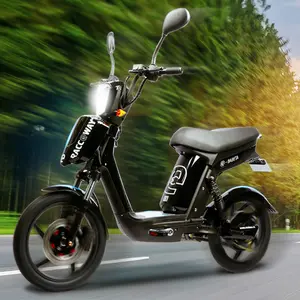 Racceway 250W 500W Mini Two Wheel Electric Motorbike Motorcycles Lead Acid Battery Adult Electric Moped Scooters with Pedals