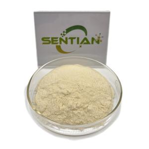 Proteína de semilla de calabaza pura Venta al por mayor Extracto de semilla de calabaza orgánica 70% Polvo de proteína de semilla de calabaza - Product Image 5