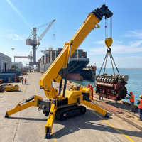 Mini-grue araignée sur chenilles personnalisable pour levage et transport intérieur/extérieur, multi-usages, service OEM/ODM, avec stabilisateurs robustes