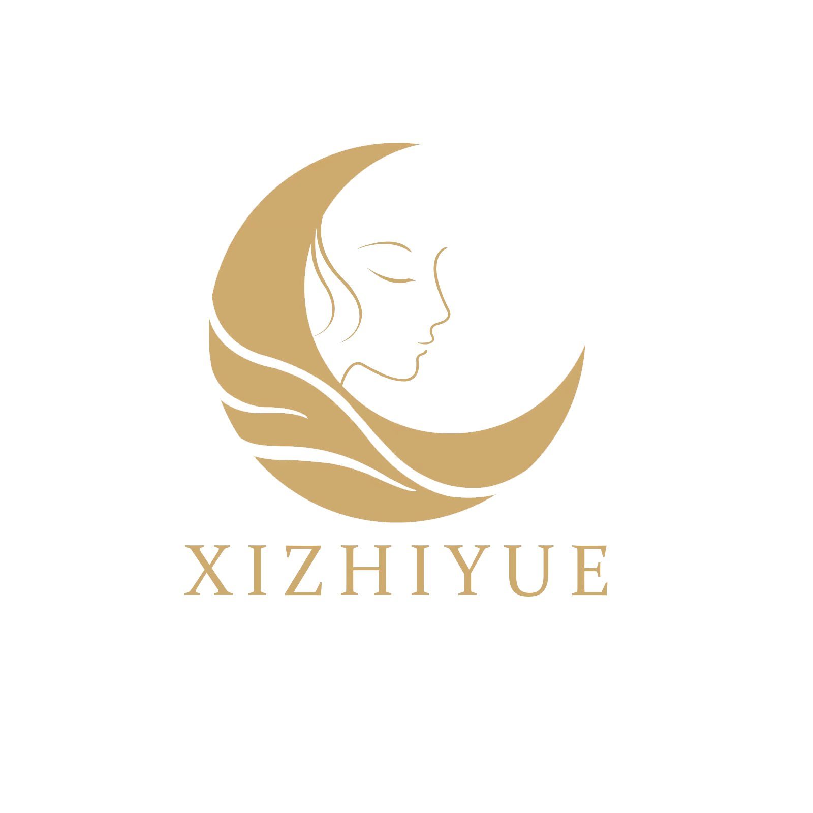 Wuhan Xizhiyue International Trade Co., Ltd. logo