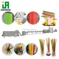 Machine de fabrication de pailles en paille de riz biodégradable, ligne de production de pailles à boire comestibles en paille de riz, extrudeuse de pailles en farine de riz