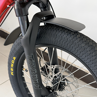 Vélo cargo électrique 20 pouces, moteur arrière 48V 250W, batterie 15Ah, 7 vitesses, jantes à double paroi, écran LED, frein à disque, verrouillage à une touche