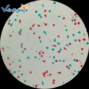 Juego popular de diapositivas de Parasitología Médica para estudiantes (50 tipos) portaobjetos de microscopio de esquistosoma diapositivas de enseñanza de ameba