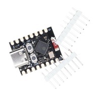 Papan Pengembangan ESP32-C3 ESP32 C3 SuperMini WiFi Bluetooth untuk Arduino