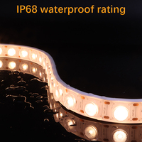 Bande LED Flexible en Cuivre 24V 24W de Qualité Industrielle, Étanche pour Extérieur, Haute Réalité des Couleurs (CRI 90), Plusieurs Couleurs Disponibles pour Aménagement Paysager