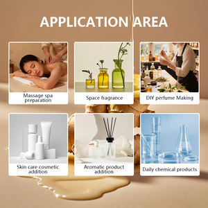 天然無希釈ジンジャーオレオレジン有機ジンジャーオレオレジン,カスタマイズ可能なプライベートラベル付き - Product Image 5