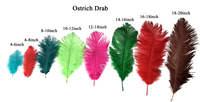 Plumes d'autruche grandes blanches, roses, rouges, noires pour décoration, artisanat DIY, 50-55CM, écologiques, faites à la main, Art Déco, décoration intérieure, fête