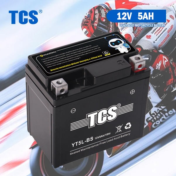 TCS Southeast Asian Style YT5L-BS Maintenance Free Sealed Lead Acid Battery for Riding Mower