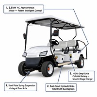 Carrito de Golf Eléctrico Blanco Popular de 6 Plazas, Batería de Litio de 72V, Buggy Eléctrico para Club de Golf