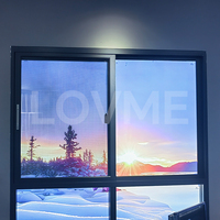 Ventanas corredizas de doble cristal negras para decoración de casas modernas personalizadas, imágenes baratas, precio de fabricante, ventanas de aluminio