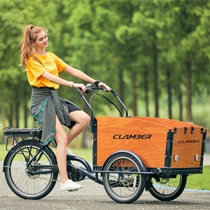 Động Cơ Trung Với Khung Hợp Kim 3 Bánh Xe Đạp Chở Hàng Phanh Đĩa Thủy Lực Clamber/Nanyang - Product Image 4