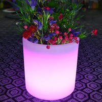 Q203 Pot de fleur lumineux en gros lumière luxe personnalisé en plastique vigne seau à glace Pot conteneur LED Pot de fleur lumière