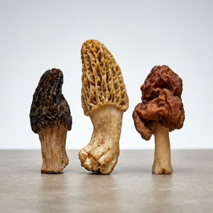 Meilleur prix pour les morilles cultivées séchées, super-aliment en stock - Product Image 1